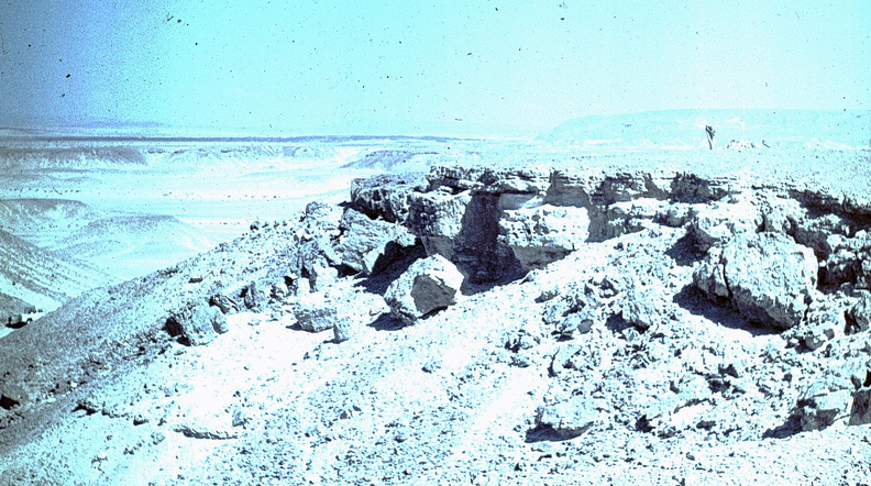 Sinai 12.jpg
